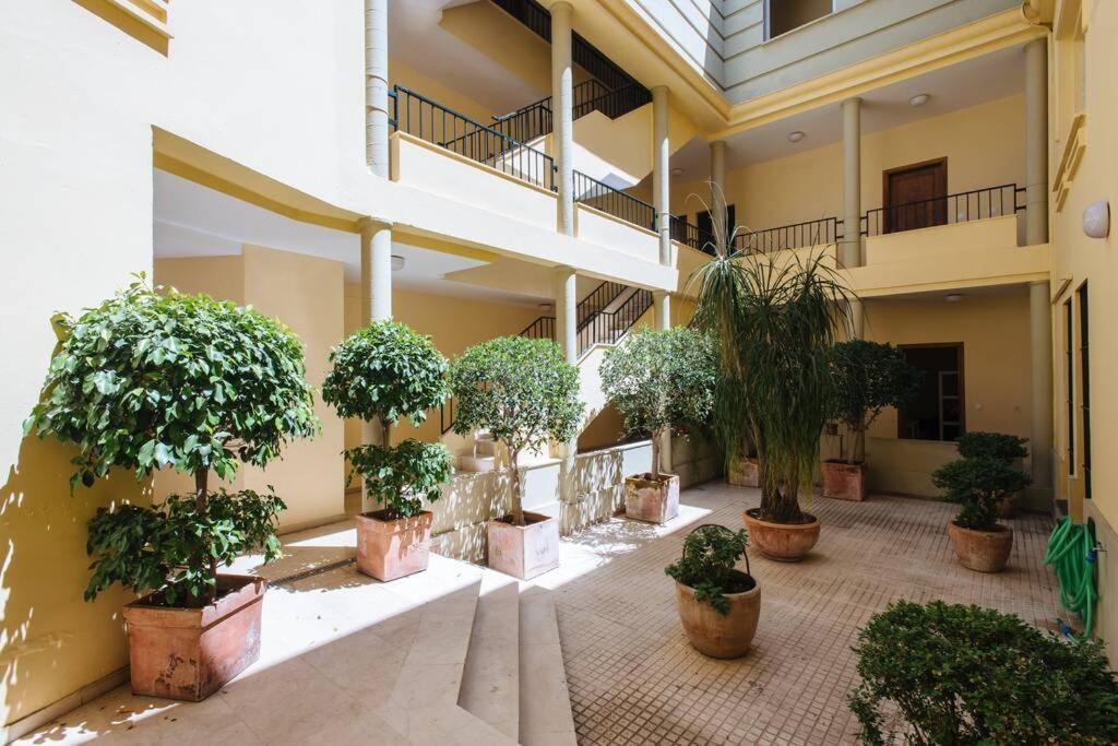 Cozy And Well Located Apartment In The Center Of Sevilla Exteriör bild